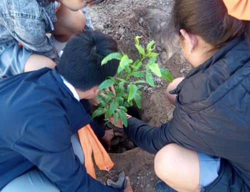 Jornada Ambiental en la Escuela N° 1245″Paso del Libertador»Ciudad de Termas de Rio Hondo