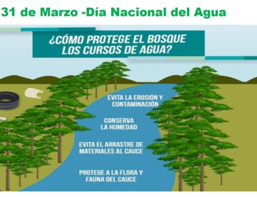 El Programa Plantando Futuro conmemora el «Día Nacional  del Agua»