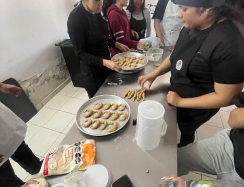 Escuela Escala Metas: La escuela rural como espacio de aprendizaje y producción
